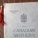 Antique Bookmark - French Ivory - Calluloid - Tassel