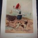 Antique Print Glossy Color Signed