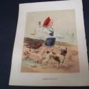 Antique Print Glossy Color Signed