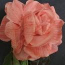 Original Vintage Fabric Flowers, Large Ruby Rose