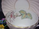 Lovely Aynsley Cup and Saucer English Bone China