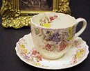 COPELAND SPODE CHINA TEACUP /SAUCER - FAIRY DELL