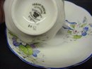 RARE - BUTTERFLY HANDLE - CUP and SAUCER