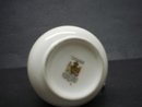 Paragon - CHILDS CUP - PRINCE CHARLES