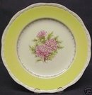 ALFRED MEAKIN PLATE