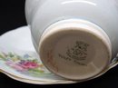 Superb FOLEY China CUP and SAUCER FOLEY TULIP