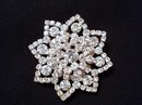 STERLING SILVER&RHINESTONE JAY FLEX BROOCH