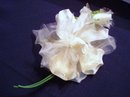 VELVET / ORGANDY ROSE