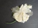VELVET / ORGANDY ROSE