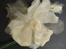 VELVET / ORGANDY ROSE