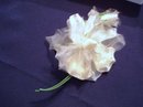 VELVET / ORGANDY ROSE