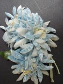 Velvet / Organdy Flowers Millinery Flowers