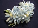 Velvet / Organdy Flowers Millinery Flowers