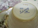 Beautiful ENGLISH CHINA CUP and SAUCER WHITE ROSE