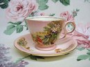 Fanrastic ROYAL WINTON ANTIQUE CUP and SAUCER