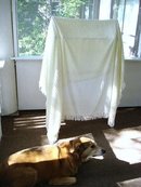 CREAM COLOR CHENILLE BEDSPREAD-POPCORN