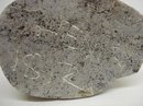 ESKIMO INUIT STONE CARVING - STANDING SEAL