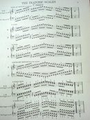 1914 SHEET MUSIC CHORDS for PIANOFORTE