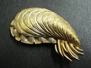 SIGNED BOUCHER BROOCH - GOLDEN OYSTER