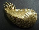 SIGNED BOUCHER BROOCH - GOLDEN OYSTER