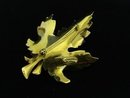 FIGURAL BROOCH by GIOVANNI - DOUBLE LEAF