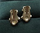 BEAUTIFUL RHINESTONE CLIP EARRINGS