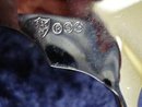 SHEFFIELD SERVING SPOON - PORCELAIN HANDLE