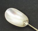 BEAUTIFUL MOTHER-of-PEARL SERVING SPOON