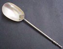 BEAUTIFUL MOTHER-of-PEARL SERVING SPOON