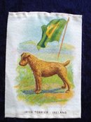 CIGARETTE SILK IRISH TERRIER IRELAND