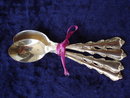 Spoons International Sterling Anjelique