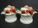 Wonderful Salt and Pepper Shakers Figural Fruit