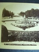 Stereoview Card Early 1900's Versailles France