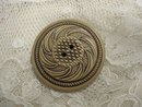 Antique Celluloid Button Lovely Design