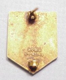 Wonderful Red Cross - C R C S PIN