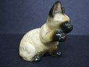 Fantastic Siamese Kitten Figurine