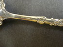 Antique Sugar Spoon