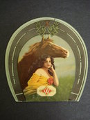 Charming NEEDLE BOOK Young Girl And Horse