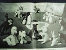 Beehive Toys & Novelties Book