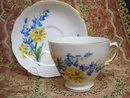 ROYAL VALE TEACUP SET - Cup and Saucer