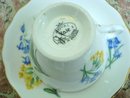 ROYAL VALE TEACUP SET - Cup and Saucer
