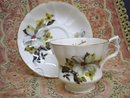 TEACUP and SAUCER SET by ROYAL WINDSOR CHINA