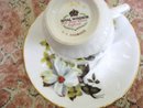 TEACUP and SAUCER SET by ROYAL WINDSOR CHINA