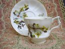 TEACUP and SAUCER SET by ROYAL WINDSOR CHINA