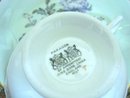 Fantastic Paragon Cup & Saucer Teacup Set Chrysanthemum