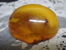 Natural Amber Brooch