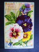 Vintage Greeting Postcard
