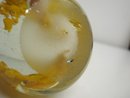 Egg Shape Paperweight Saffron Yellow