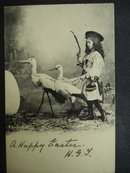 Happy Easter Postcard