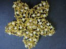 Beautiful Brooch Large Snowflake Broach